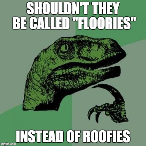 Philosoraptor | SHOULDN'T THEY BE CALLED "FLOORIES"; INSTEAD OF ROOFIES | image tagged in memes,philosoraptor | made w/ Imgflip meme maker