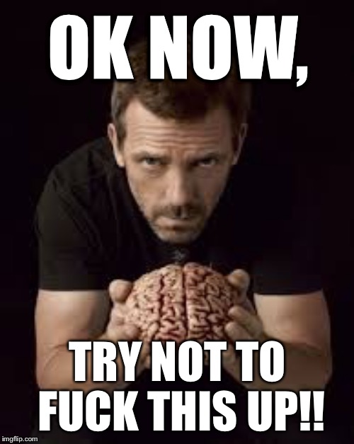 You've got one job... | OK NOW, TRY NOT TO FUCK THIS UP!! | image tagged in brain,hugh laurie,don't fuck up | made w/ Imgflip meme maker