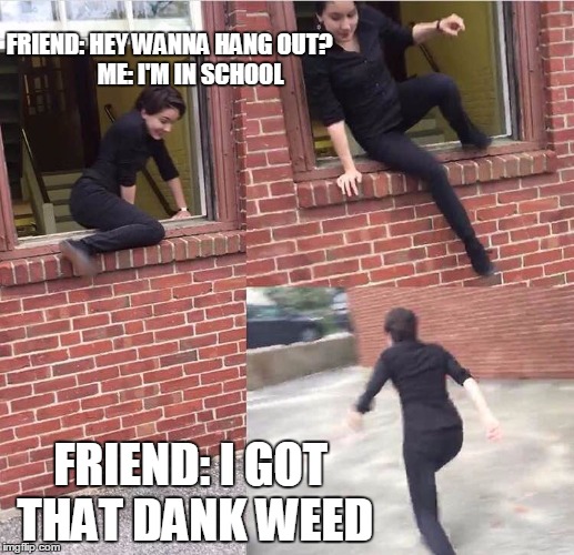 FRIEND: HEY WANNA HANG OUT?       
 ME: I'M IN SCHOOL; FRIEND: I GOT THAT DANK WEED | image tagged in dank,weed,school,funny,funny meme | made w/ Imgflip meme maker