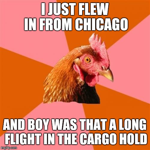 Anti Joke Chicken | I JUST FLEW IN FROM CHICAGO; AND BOY WAS THAT A LONG FLIGHT IN THE CARGO HOLD | image tagged in memes,anti joke chicken | made w/ Imgflip meme maker