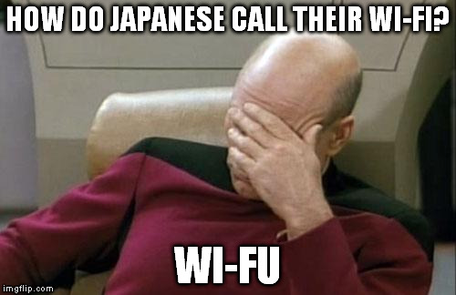 Need to see some anime to get it. | HOW DO JAPANESE CALL THEIR WI-FI? WI-FU | image tagged in memes,captain picard facepalm | made w/ Imgflip meme maker