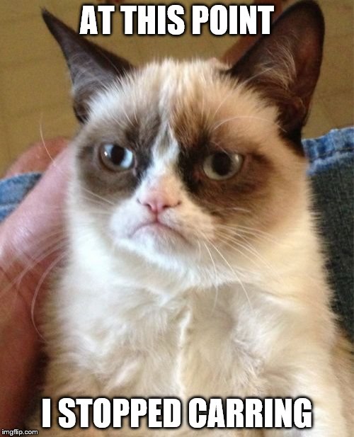 Grumpy Cat Meme | AT THIS POINT; I STOPPED CARRING | image tagged in memes,grumpy cat | made w/ Imgflip meme maker