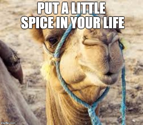 PUT A LITTLE SPICE IN YOUR LIFE | made w/ Imgflip meme maker