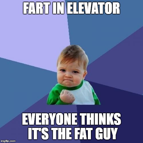 Success Kid | FART IN ELEVATOR; EVERYONE THINKS IT'S THE FAT GUY | image tagged in memes,success kid | made w/ Imgflip meme maker