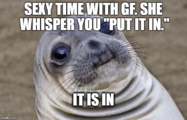 Awkward Moment Sealion | IT IS IN; SEXY TIME WITH GF. SHE WHISPER YOU ''PUT IT IN.'' | image tagged in memes,awkward moment sealion | made w/ Imgflip meme maker