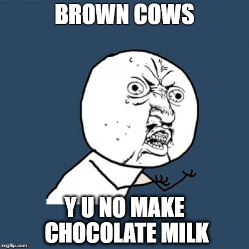 Y U No | BROWN COWS; Y U NO MAKE CHOCOLATE MILK | image tagged in memes,y u no | made w/ Imgflip meme maker