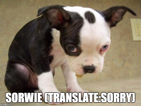 SORWIE (TRANSLATE:SORRY) | made w/ Imgflip meme maker