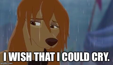 I Wish That I Could Cry | I WISH THAT I COULD CRY. | image tagged in dixie sad,memes,disney,the fox and the hound 2,reba mcentire,dog | made w/ Imgflip meme maker