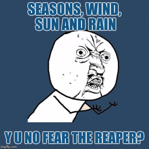 Y We No be like they are? | SEASONS, WIND, SUN AND RAIN; Y U NO FEAR THE REAPER? | image tagged in memes,y u no,blue oyster cult,classic rock | made w/ Imgflip meme maker