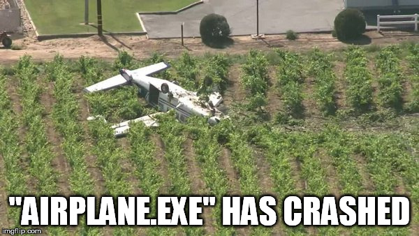 Don't worry, nobody got killed. | "AIRPLANE.EXE" HAS CRASHED | image tagged in memes,computer,airplane | made w/ Imgflip meme maker
