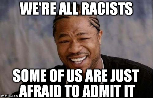 Yo Dawg Heard You | WE'RE ALL RACISTS; SOME OF US ARE JUST AFRAID TO ADMIT IT | image tagged in memes,yo dawg heard you,inherent racism | made w/ Imgflip meme maker