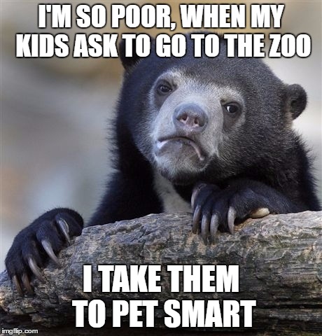 Confession Bear Meme | I'M SO POOR, WHEN MY KIDS ASK TO GO TO THE ZOO; I TAKE THEM TO PET SMART | image tagged in memes,confession bear | made w/ Imgflip meme maker