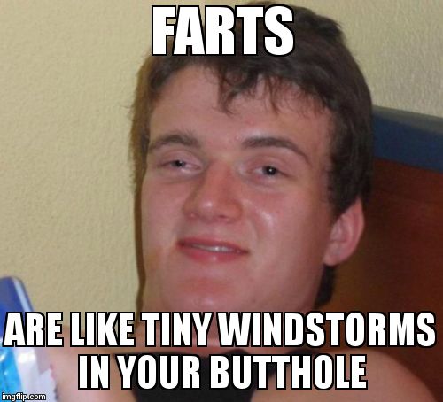 10 Guy Meme | FARTS; ARE LIKE TINY WINDSTORMS IN YOUR BUTTHOLE | image tagged in memes,10 guy | made w/ Imgflip meme maker