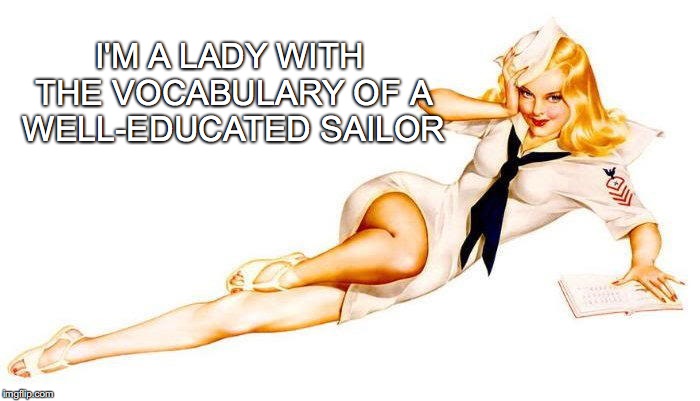 I ❤️ Navy! | I'M A LADY WITH THE VOCABULARY OF A WELL-EDUCATED SAILOR | image tagged in janey mack meme,sailor,lady with the vocabulary,well-educated sailor | made w/ Imgflip meme maker