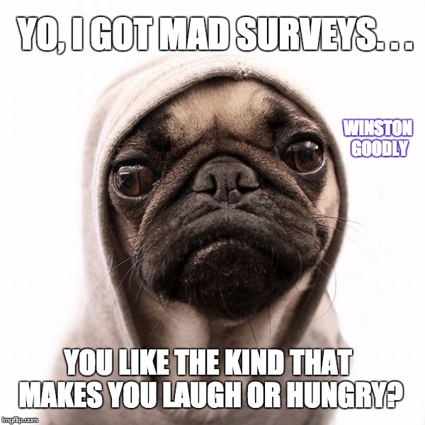 Winston Goodly the Survey Dealer | YO, I GOT MAD SURVEYS. . . WINSTON GOODLY; YOU LIKE THE KIND THAT MAKES YOU LAUGH OR HUNGRY? | image tagged in funny dogs,funny animals,dogs,survey,drugs | made w/ Imgflip meme maker