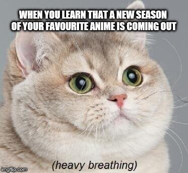 Heavy Breathing Cat | WHEN YOU LEARN THAT A NEW SEASON OF YOUR FAVOURITE ANIME IS COMING OUT | image tagged in memes,heavy breathing cat | made w/ Imgflip meme maker