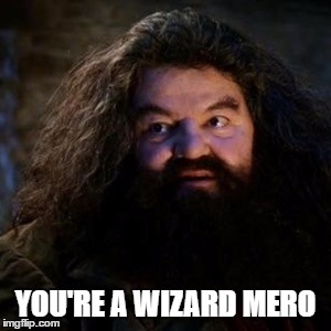 You're a wizard harry | YOU'RE A WIZARD MERO | image tagged in you're a wizard harry | made w/ Imgflip meme maker