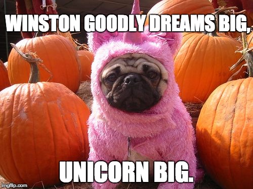 Winston Goodly Dreams Unicron Big | WINSTON GOODLY DREAMS BIG, UNICORN BIG. | image tagged in unicorn,pugs,funny dogs,funny animals,thanksgiving | made w/ Imgflip meme maker