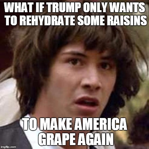 Sorry I Had To | WHAT IF TRUMP ONLY WANTS TO REHYDRATE SOME RAISINS; TO MAKE AMERICA GRAPE AGAIN | image tagged in memes,conspiracy keanu,nevertrump | made w/ Imgflip meme maker