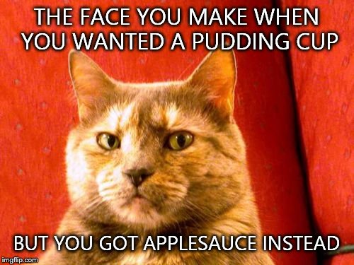Suspicious Cat Meme | THE FACE YOU MAKE WHEN YOU WANTED A PUDDING CUP; BUT YOU GOT APPLESAUCE INSTEAD | image tagged in memes,suspicious cat | made w/ Imgflip meme maker