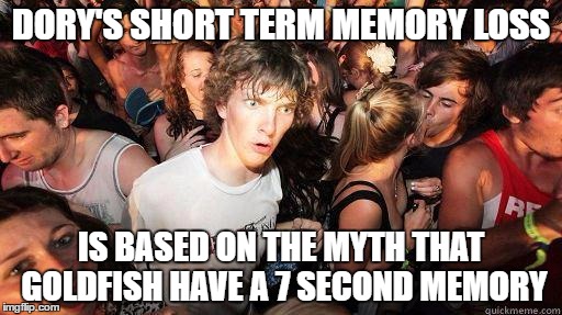 Sudden Realization | DORY'S SHORT TERM MEMORY LOSS; IS BASED ON THE MYTH THAT GOLDFISH HAVE A 7 SECOND MEMORY | image tagged in sudden realization,AdviceAnimals | made w/ Imgflip meme maker