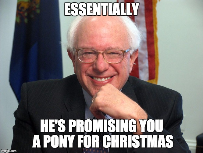 Vote Bernie Sanders | ESSENTIALLY; HE'S PROMISING YOU A PONY FOR CHRISTMAS | image tagged in vote bernie sanders | made w/ Imgflip meme maker