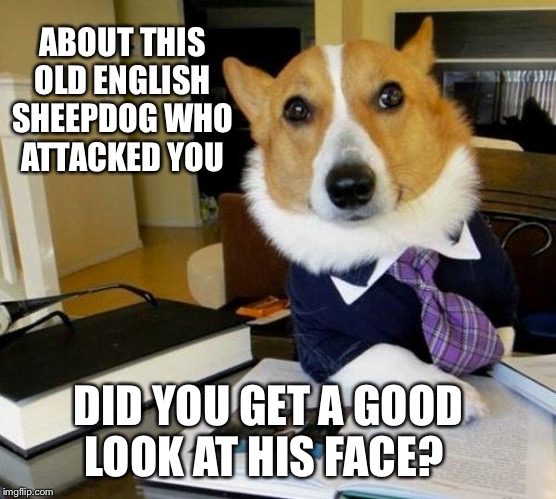 Lawyer dog | ABOUT THIS OLD ENGLISH SHEEPDOG WHO ATTACKED YOU; DID YOU GET A GOOD LOOK AT HIS FACE? | image tagged in lawyer dog | made w/ Imgflip meme maker