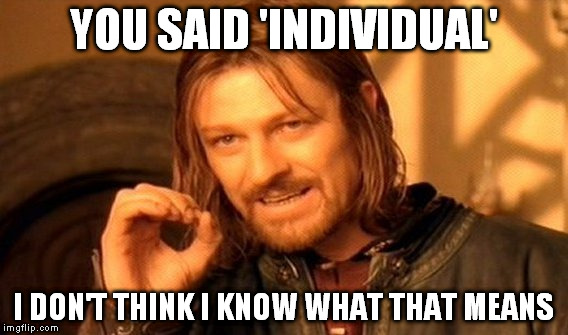 One Does Not Simply Meme | YOU SAID 'INDIVIDUAL'; I DON'T THINK I KNOW WHAT THAT MEANS | image tagged in memes,one does not simply | made w/ Imgflip meme maker