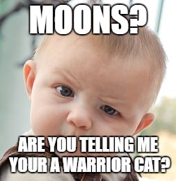 Skeptical Baby Meme | MOONS? ARE YOU TELLING ME YOUR A WARRIOR CAT? | image tagged in memes,skeptical baby | made w/ Imgflip meme maker