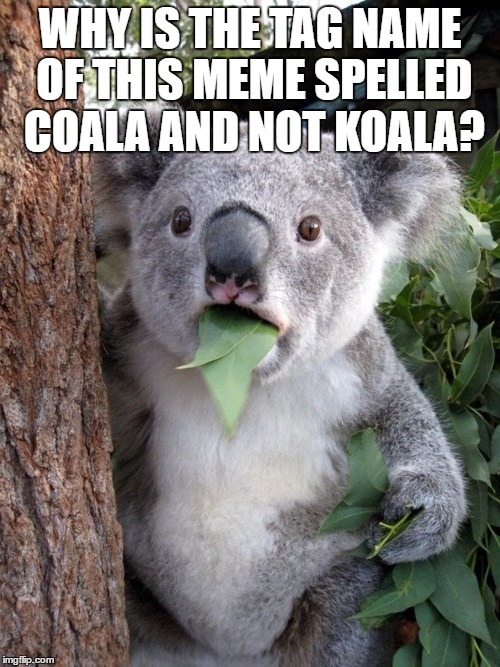 Surprised Koala Meme | WHY IS THE TAG NAME OF THIS MEME SPELLED COALA AND NOT KOALA? | image tagged in memes,surprised coala | made w/ Imgflip meme maker