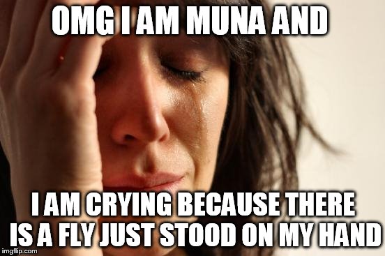 First World Problems Meme | OMG I AM MUNA AND; I AM CRYING BECAUSE THERE IS A FLY JUST STOOD ON MY HAND | image tagged in memes,first world problems | made w/ Imgflip meme maker