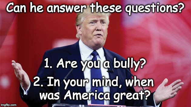 trump-question | Can he answer these questions? 1. Are you a bully? 2. In your mind, when; was America great? | image tagged in trump-question | made w/ Imgflip meme maker