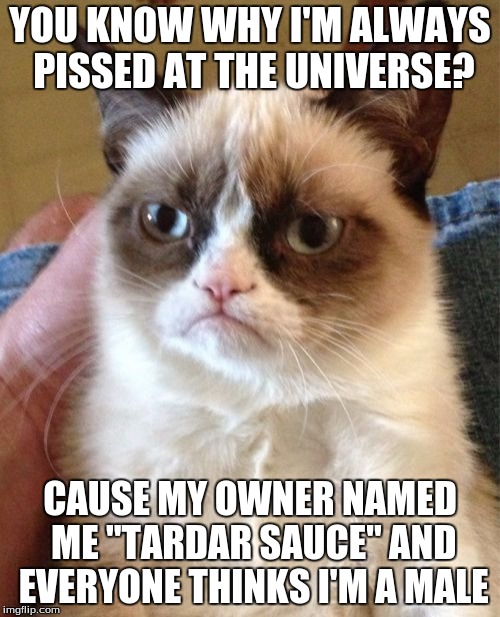 This would explain a lot as to why Grumpy Cat is always so mad. | YOU KNOW WHY I'M ALWAYS PISSED AT THE UNIVERSE? CAUSE MY OWNER NAMED ME "TARDAR SAUCE" AND EVERYONE THINKS I'M A MALE | image tagged in memes,grumpy cat | made w/ Imgflip meme maker