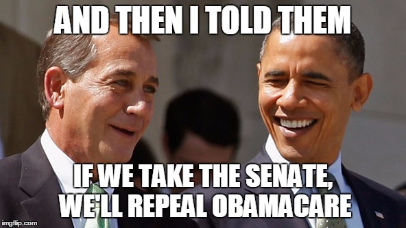 So sick of the establishment! | AND THEN I TOLD THEM; IF WE TAKE THE SENATE, WE'LL REPEAL OBAMACARE | image tagged in politics,not funny,memes | made w/ Imgflip meme maker