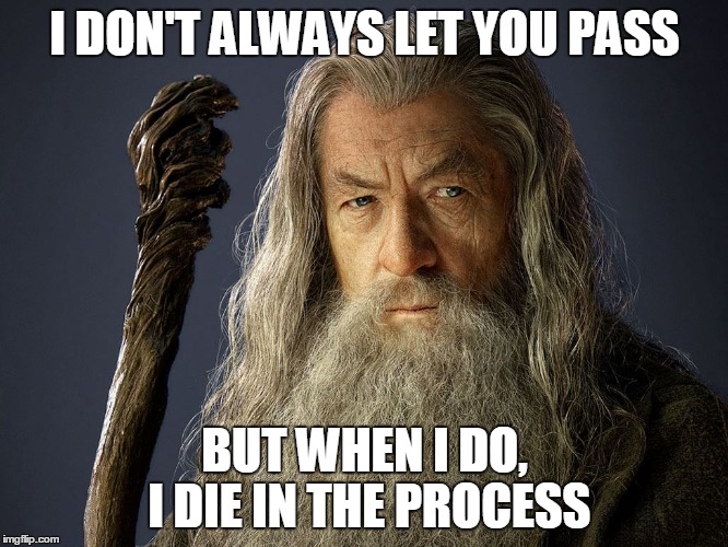 I don't always let you pass | I DON'T ALWAYS LET YOU PASS; BUT WHEN I DO, I DIE IN THE PROCESS | image tagged in gandalf,you shall not pass | made w/ Imgflip meme maker