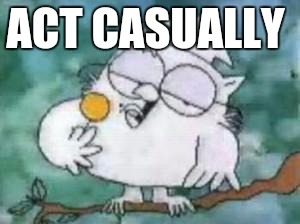 Tootsie Pop Owl | ACT CASUALLY | image tagged in tootsie pop owl | made w/ Imgflip meme maker