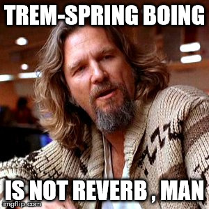 Confused Lebowski Meme | TREM-SPRING BOING; IS NOT REVERB , MAN | image tagged in memes,confused lebowski | made w/ Imgflip meme maker
