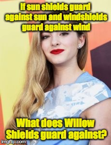 Trees? | If sun shields guard against sun and windshields guard against wind; What does Willow Shields guard against? | image tagged in willow shields | made w/ Imgflip meme maker