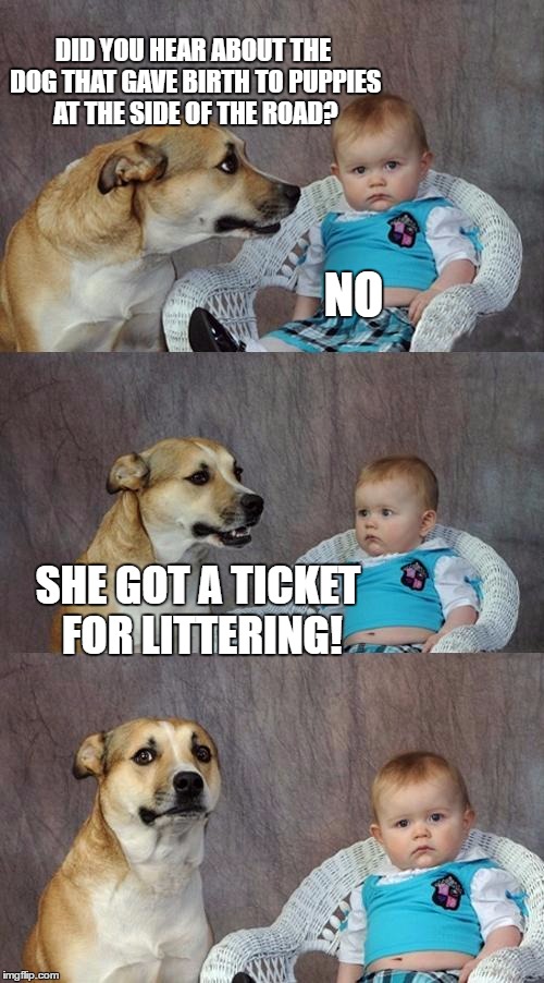 Dad Joke Dog | DID YOU HEAR ABOUT THE DOG THAT GAVE BIRTH TO PUPPIES AT THE SIDE OF THE ROAD? NO; SHE GOT A TICKET FOR LITTERING! | image tagged in memes,dad joke dog | made w/ Imgflip meme maker