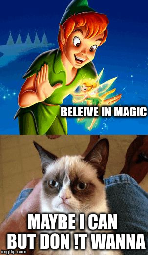 Grumpy Cat Does Not Believe | BELEIVE IN MAGIC; MAYBE I CAN  BUT DON !T WANNA | image tagged in memes,grumpy cat does not believe | made w/ Imgflip meme maker