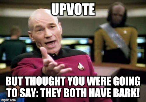 Picard Wtf Meme | UPVOTE BUT THOUGHT YOU WERE GOING TO SAY: THEY BOTH HAVE BARK! | image tagged in memes,picard wtf | made w/ Imgflip meme maker