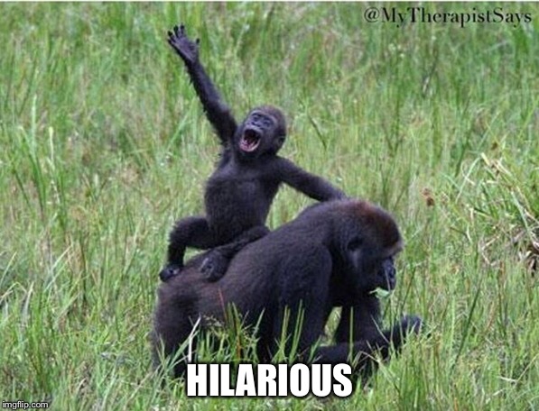 HILARIOUS | made w/ Imgflip meme maker