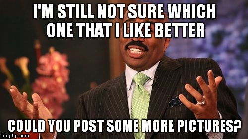 Steve Harvey Meme | I'M STILL NOT SURE WHICH ONE THAT I LIKE BETTER COULD YOU POST SOME MORE PICTURES? | image tagged in memes,steve harvey | made w/ Imgflip meme maker
