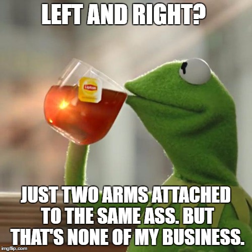 But That's None Of My Business Meme | LEFT AND RIGHT? JUST TWO ARMS ATTACHED TO THE SAME ASS.
BUT THAT'S NONE OF MY BUSINESS. | image tagged in memes,but thats none of my business,kermit the frog | made w/ Imgflip meme maker