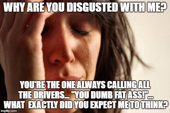First World Problems Meme | WHY ARE YOU DISGUSTED WITH ME? YOU'RE THE ONE ALWAYS CALLING ALL THE DRIVERS... "YOU DUMB FAT ASS!"... WHAT  EXACTLY DID YOU EXPECT ME TO TH | image tagged in memes,first world problems | made w/ Imgflip meme maker