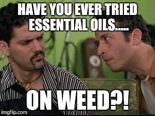jon stewart half baked on weed | HAVE YOU EVER TRIED ESSENTIAL OILS..... ON WEED?! | image tagged in jon stewart half baked on weed | made w/ Imgflip meme maker