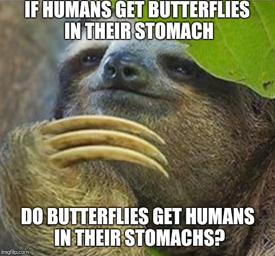 Credit to my meme grandchild (no one knows why they are like this.help.) | IF HUMANS GET BUTTERFLIES IN THEIR STOMACH; DO BUTTERFLIES GET HUMANS IN THEIR STOMACHS? | image tagged in sloth | made w/ Imgflip meme maker