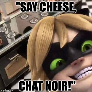 Cheeeese! | "SAY CHEESE, CHAT NOIR!" | image tagged in miraculous ladybug | made w/ Imgflip meme maker
