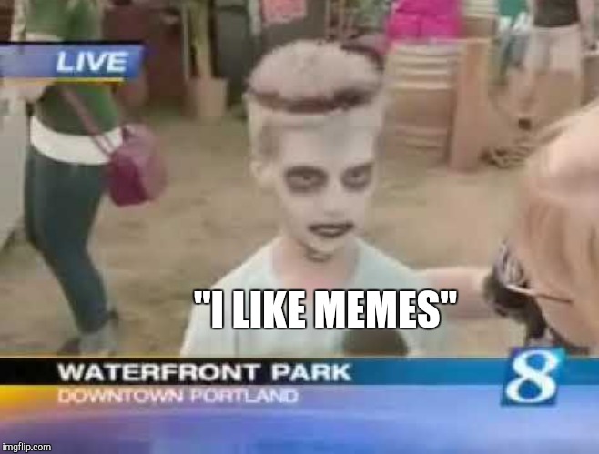 I like memes | "I LIKE MEMES" | image tagged in memes | made w/ Imgflip meme maker