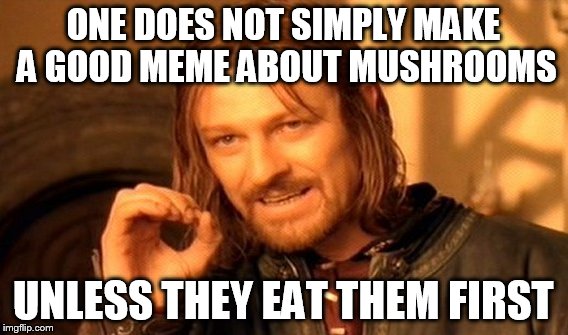 One Does Not Simply Meme | ONE DOES NOT SIMPLY MAKE A GOOD MEME ABOUT MUSHROOMS UNLESS THEY EAT THEM FIRST | image tagged in memes,one does not simply | made w/ Imgflip meme maker